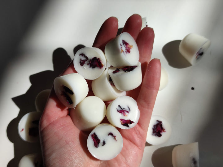 PACHET MOSTRĂ GRATUIT