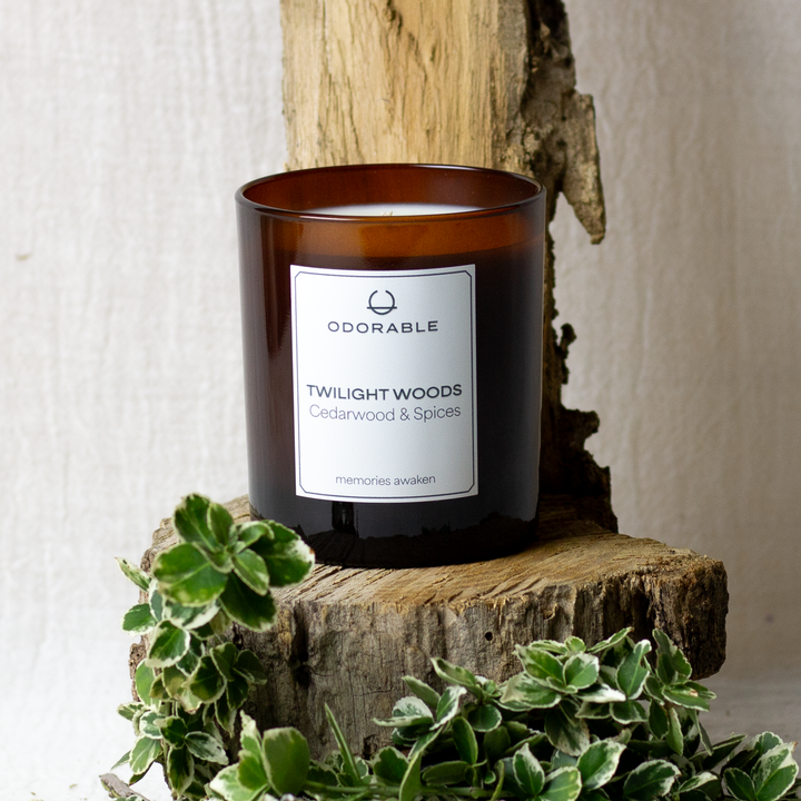 TWILIGHT WOODS- scented candle